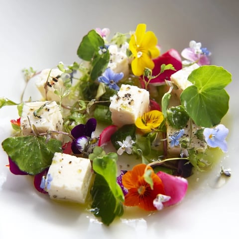 Vibrant The Secret Garden appetizer, showcasing cheese cubes hidden by edible flowers and microgreens, for a gorgeous starter.